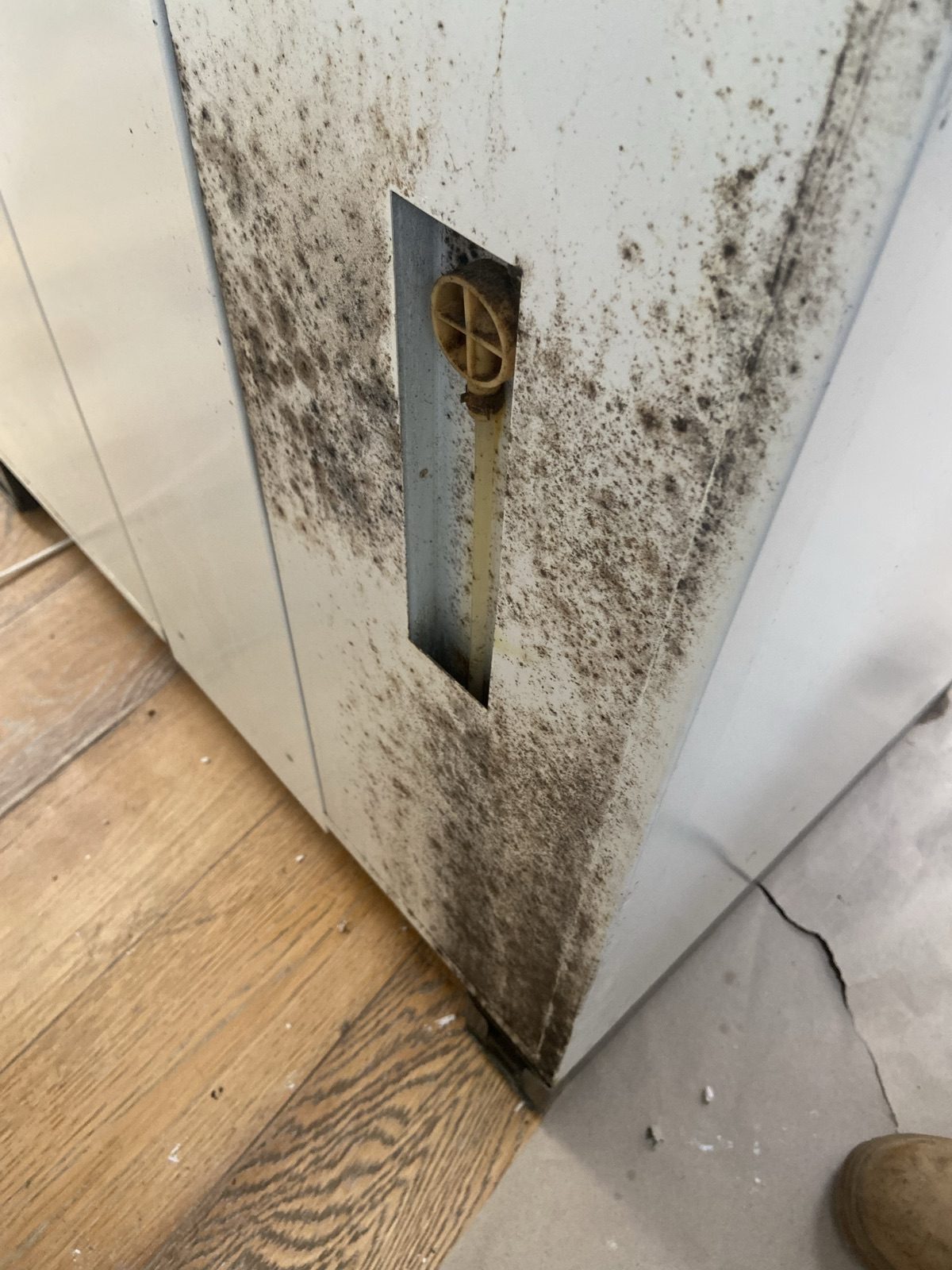 Heavy mold growth on a wall and floor vent requiring remediation