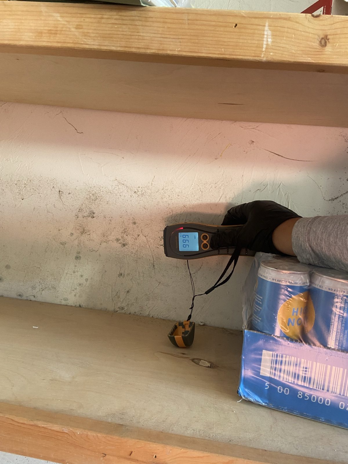Technician taking a moisture meter reading to monitor drying
