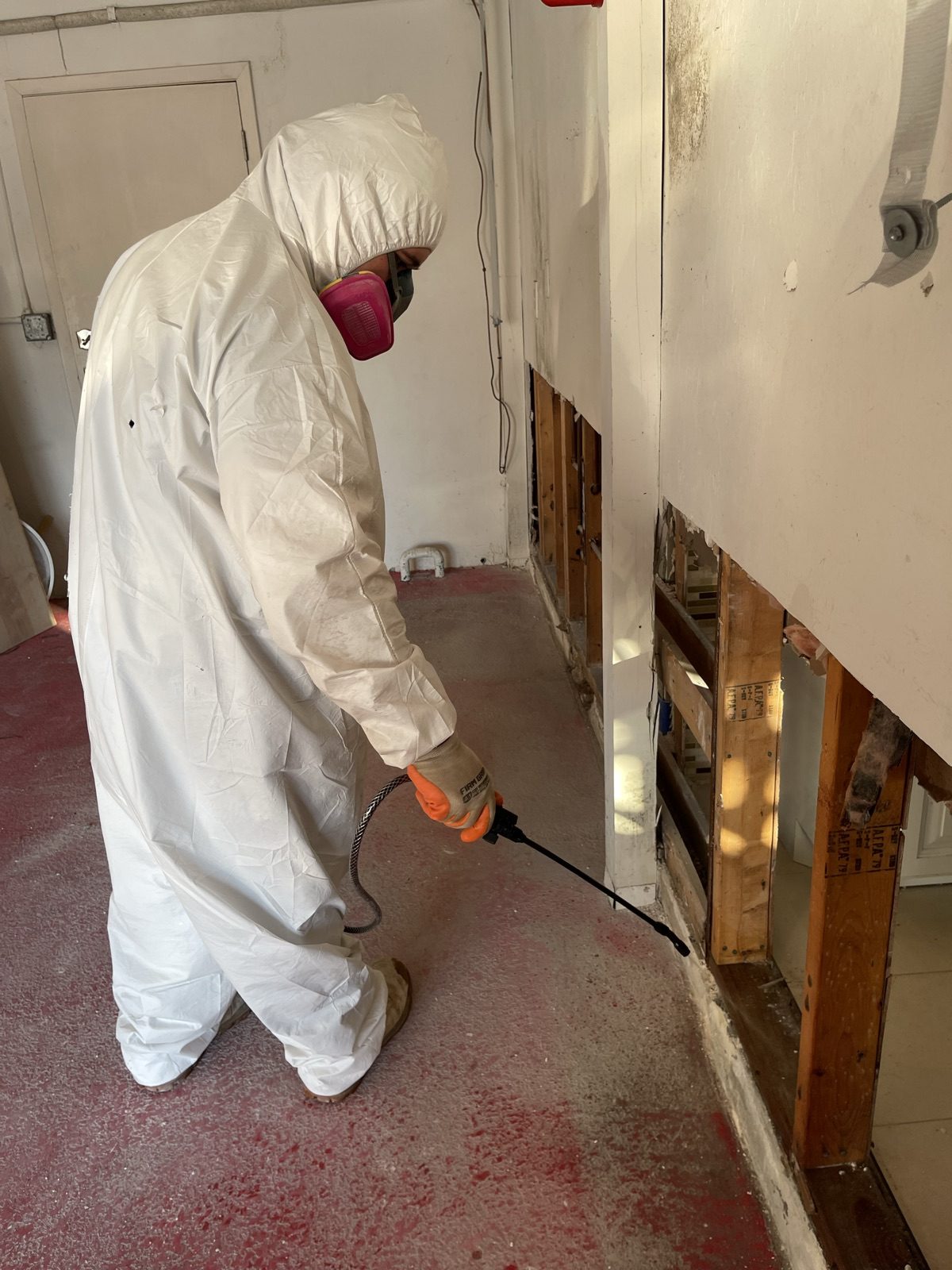 Technician in PPE cleaning and treating affected surfaces